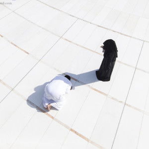 Ana Chan profile icon