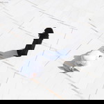 Ana Chan profile icon