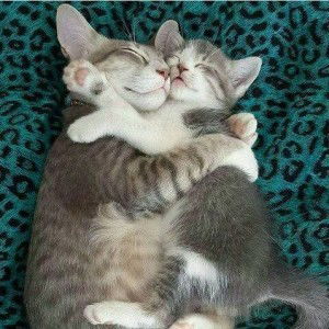 Yulianie Ellyz profile icon