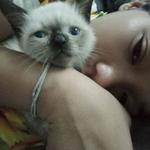 Pang Pang profile icon