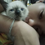 Pang Pang profile icon