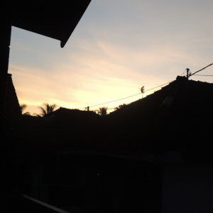 Harnisya Fitrah Andini profile icon