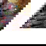 Queen_En profile icon