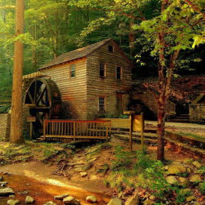 Cahaya Syahid profile icon