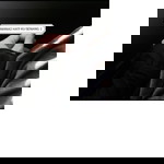 farahdina profile icon