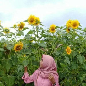 Rizki NurDwi N. profile icon