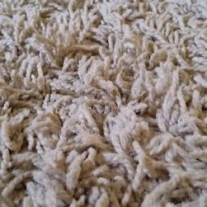 Che Haniff profile icon