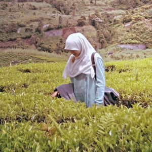 muharama yora profile icon