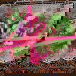 Khadijah Ahmad profile icon