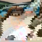 Adeoluwa Ogunbanjo profile icon