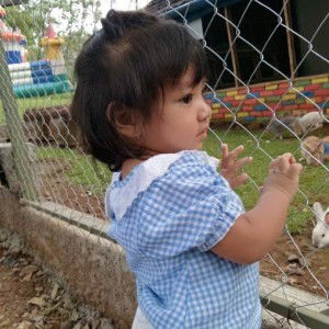 Anistia Diantika profile icon