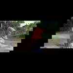 Tasya Ivanka profile icon