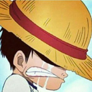 NP party profile icon