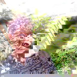 Alfee A profile icon