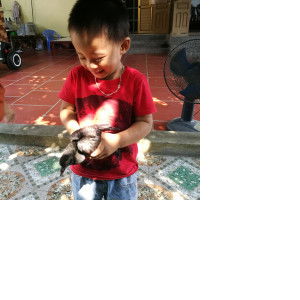 thùy ninh profile icon