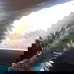 Odewande Kenny profile icon