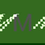 Mery Tan profile icon