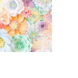 bbbp beauty profile icon