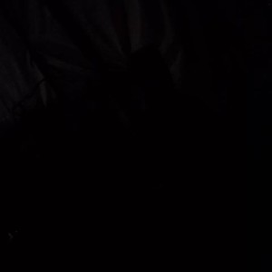 Genevieve Rivera profile icon