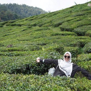 Fatin Najwa profile icon