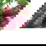 an profile icon