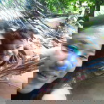 ปาหนัน พระสิทธิ์เกตกัน profile icon