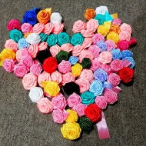 hana fidela profile icon