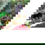 Siti Sairoh profile icon