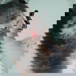 Lạc Lối profile icon