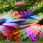 Sherin Sharina profile icon