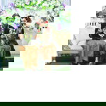 Hesti Afrizah profile icon