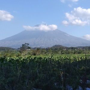 Rf Janah profile icon