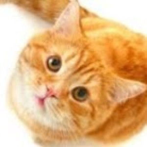 Nam NamNam profile icon