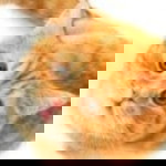 Nam NamNam profile icon