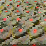 Apriana Yuniarti profile icon