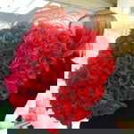 Syamma Syifana profile icon