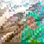 Sherifaht Muh'd Sodeeq Alashela profile icon