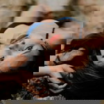 Jessa Aniana profile icon