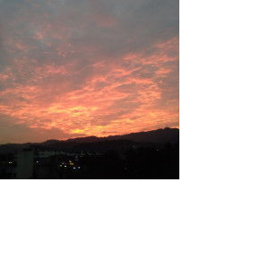 queennie profile icon