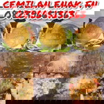 Pradila Hasyim profile icon