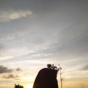 anthy profile icon