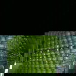 Uyat Suherman profile icon