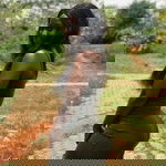 Wendy Brown profile icon