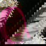 Amal Na profile icon