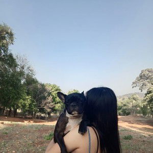 Nui Punnee profile icon