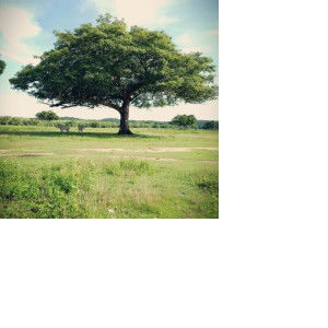 Freude Glucklich profile icon