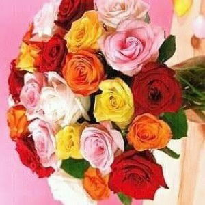 Bristol Gold profile icon