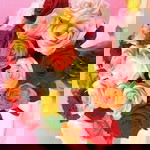 Bristol Gold profile icon