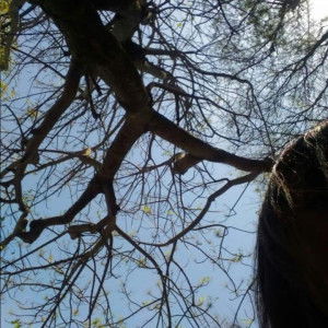 Maryam Subandi profile icon