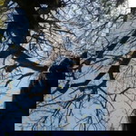 Maryam Subandi profile icon